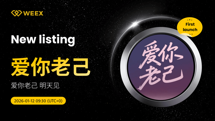 爱你老己 USDT Spot Trading: Love You Older Self Listed on WEEX Spot