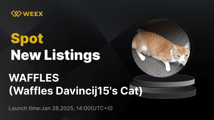 Waffles Davincij15's Cat ($WAFFLES) Now Live on WEEX Spot